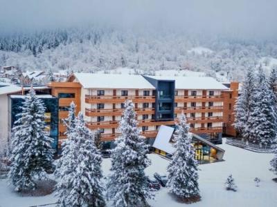 Bakuriani Inn - 1
