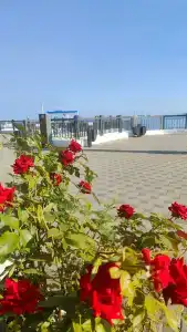 Starinnaya & SPA - 49