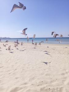 Эмеральдика Family Beach All Inclusive - 38