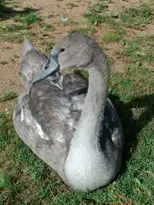 Narochanka Sanatorium - 63