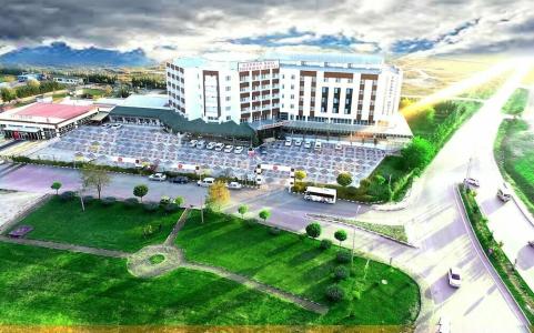 Garden Kale Thermal - 18