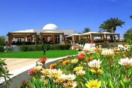 Djerba Plaza Thalasso & Spa - 28