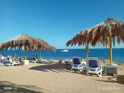 Sharm Club Beach Resort - 8