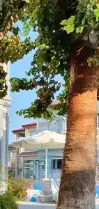 Sun Club Side - All Inclusive - 5