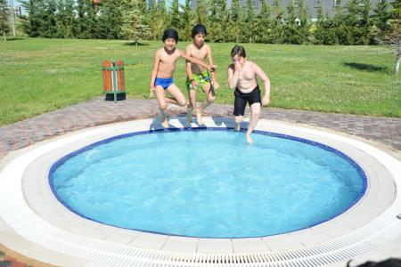 Garden Kale Thermal - 42