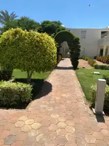 Sentido Reef Oasis Aqua Park Resort - 13