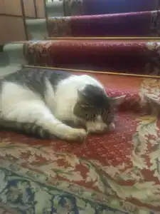 Дом Паломника корпус 2 - 26