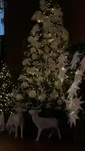 Country Club Olkhovka - 60