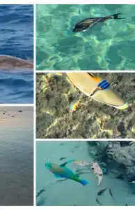 Cataract Layalina Naama Bay - 13