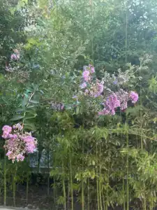 Wellness Park All-Inclusive - 19