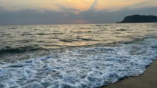 Asia Beach Resort & Spa - 23