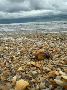 Oazis Guest House - 63