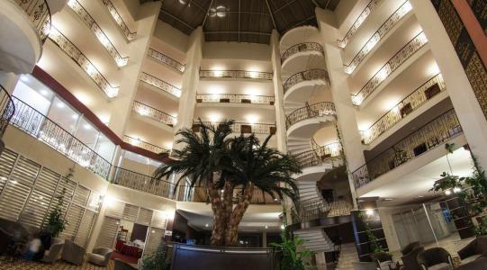 Garden Kale Thermal - 14