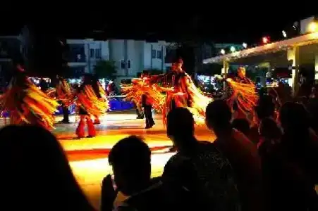 Sunlight Garden - 25