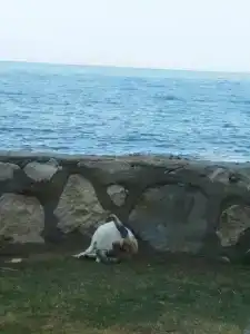 Le Bleu & Resort Kusadasi - 76