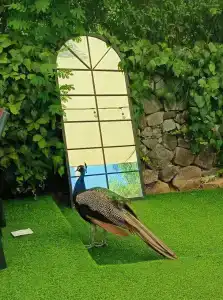 Berke Ranch&Nature - 36