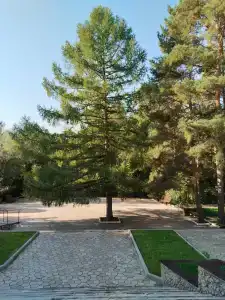 Parkhouse Kokshetau - 34