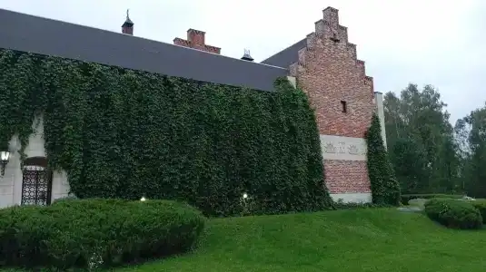 La Ferme de Reve - 56