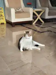 Amsterdam Boutique & Suite - 36