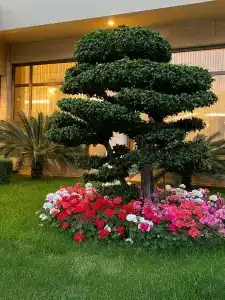 Özkaymak Select - Ultra All Inclusive - 15