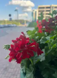 Виктория Спа Минск - 26