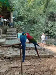 Eldar Garden Resort - 47