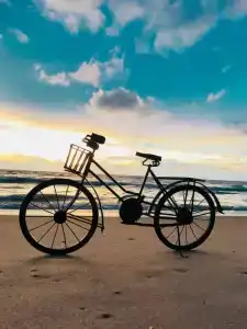 Joan Miró Museum - 5