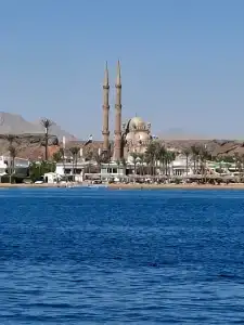 Sharm Resort - All Inclusive - 29