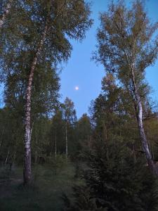 Country club Berloga - 91