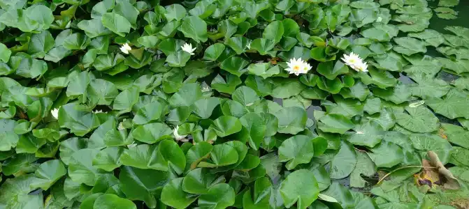 Ulovo Recreation Center - 45