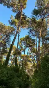 Bzyb Tourist base - 40