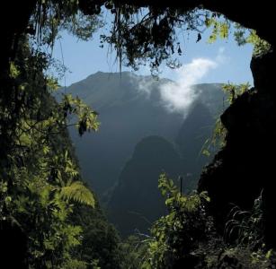 Madeira Bright Star - 6