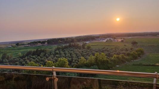 Sunmelia Beach Resort & Spa - Ultra All Inclusive - 48