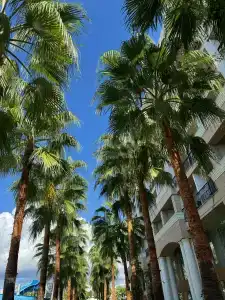 Club Sun Heaven - 31