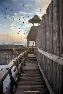 Gostinyij Dvor Znamenskaya Bogatyirskaya Zastava - 30