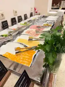 Bristol-Zhiguli - 93