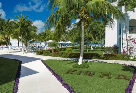Beachscape Kin Ha Villas & Suites - 19