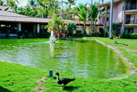Natura Resorts - 6