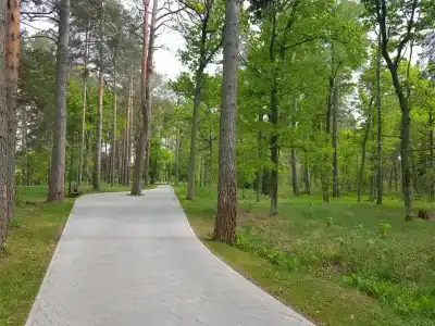 Berezinskaya Dubrava - 4