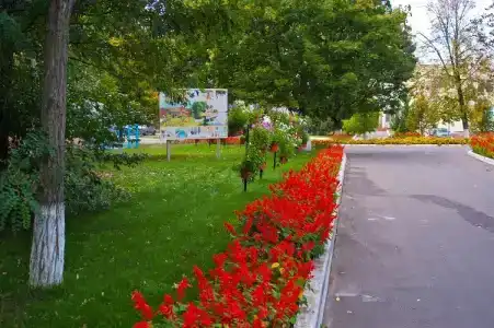 Sanatoriy im. Tsyurupy - 83