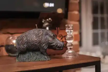 Bronzoviy Kaban Avtorskiy - 46