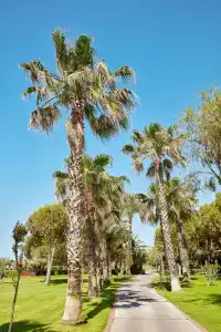 Gloria Golf Villas - 11