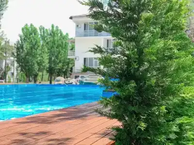 Otel Forrest - 0