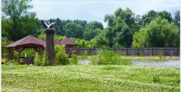 Zolotaya Rybka Resort - 51