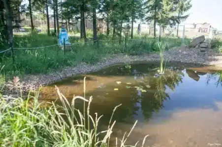 Rus' Mini-Hotel - 40