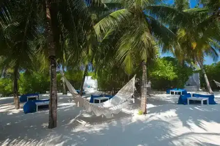 Velassaru Maldives - 53