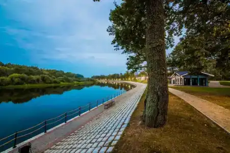 Berezinskaya Dubrava - 8