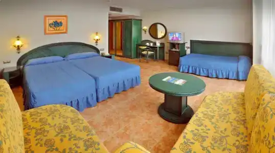 Kaktus Kaktus Albir - 74