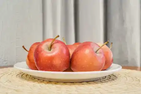 Sokroma Nevsky Fort - 26