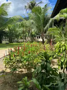 STORY Seychelles - 25